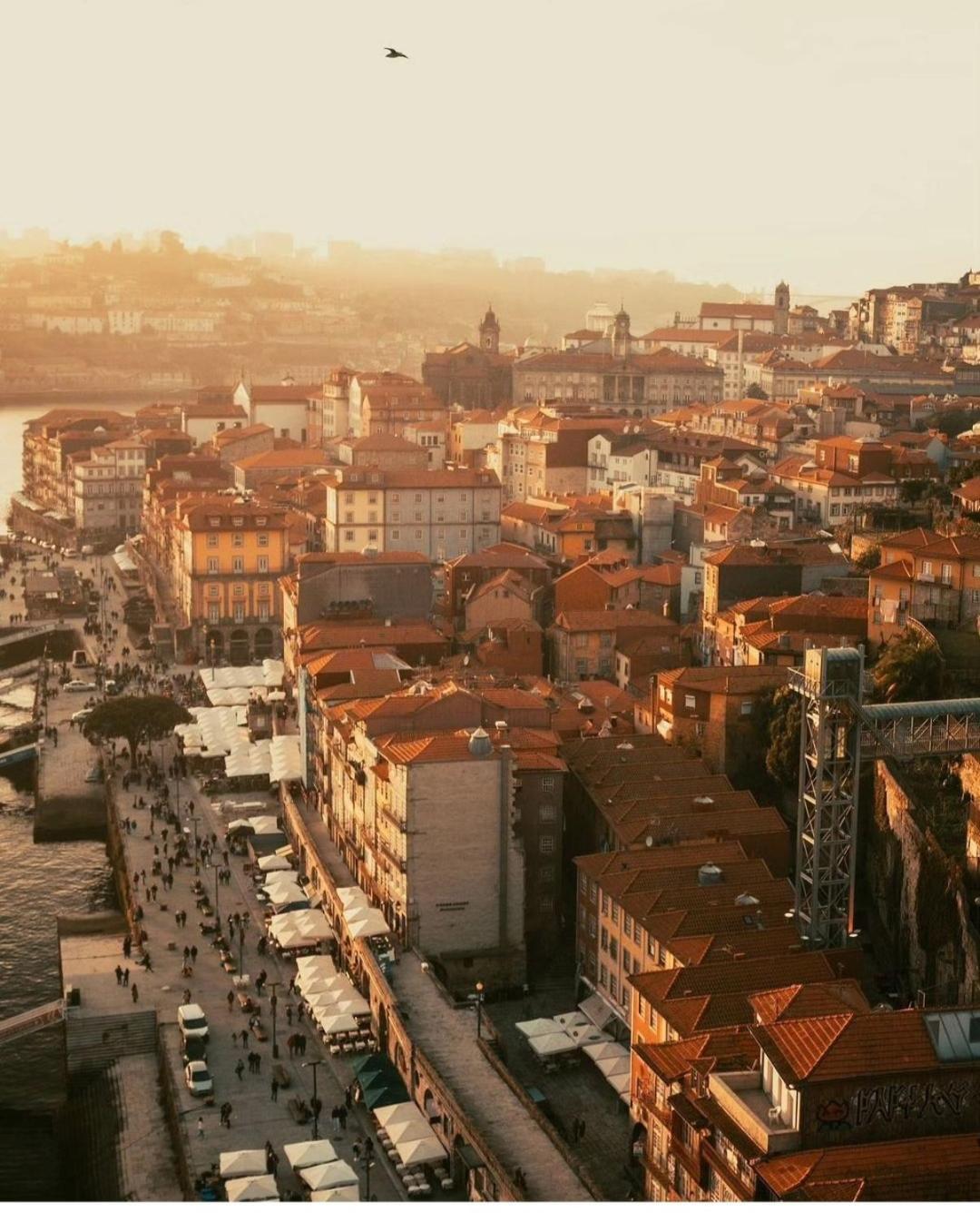 Amazing Studio Douro River Views Porto Eksteriør bilde