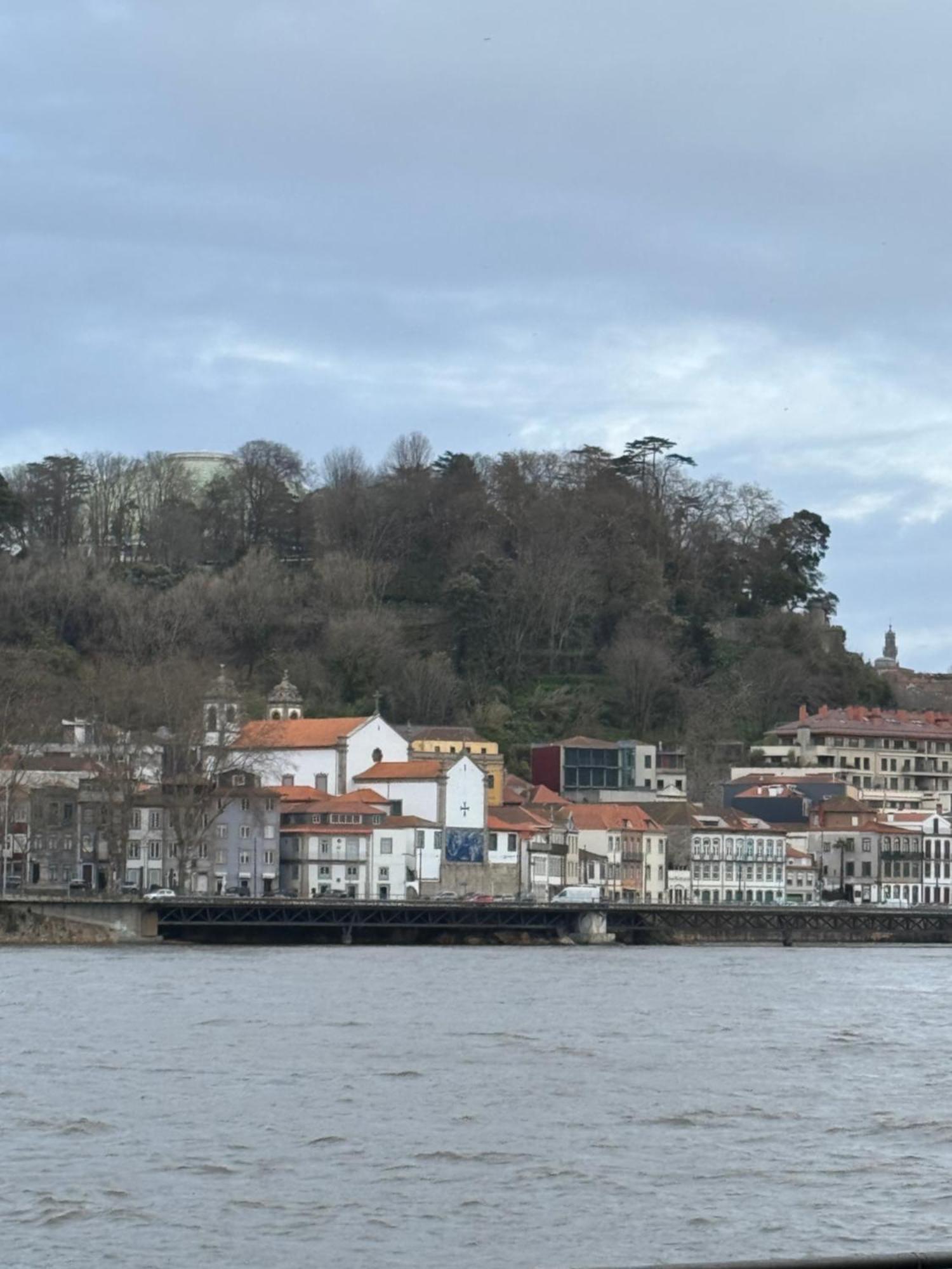 Amazing Studio Douro River Views Porto Eksteriør bilde