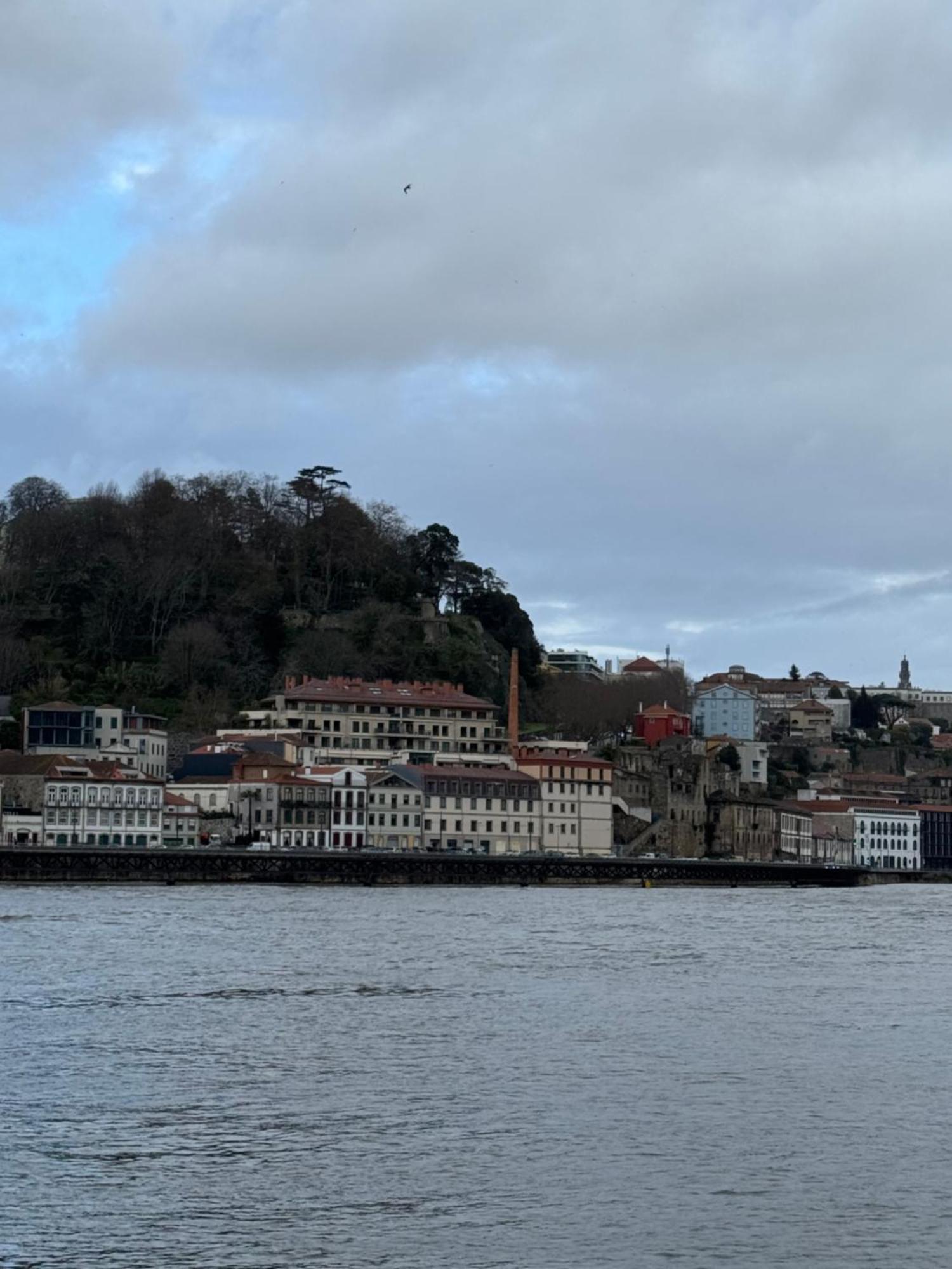 Amazing Studio Douro River Views Porto Eksteriør bilde